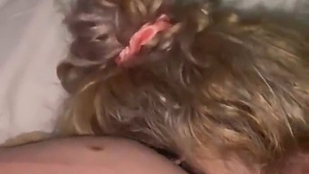 내 사랑, 미안해, 오랄 섹스로 즐겁게 해줄게
